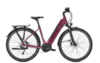 Raleigh KENT 9 43 cassis glossy