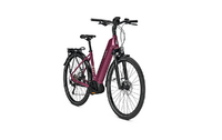 Raleigh KENT 9 48 cassis glossy